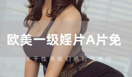 日本一级毛片免费视频,免费视频背后的真相与争议